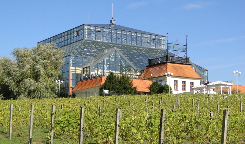 ZIELONA GÓRA - 3 DNI