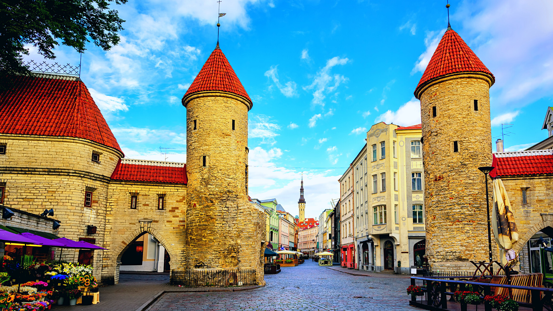 Litwa Łotwa Estonia Finlandia 6 dni