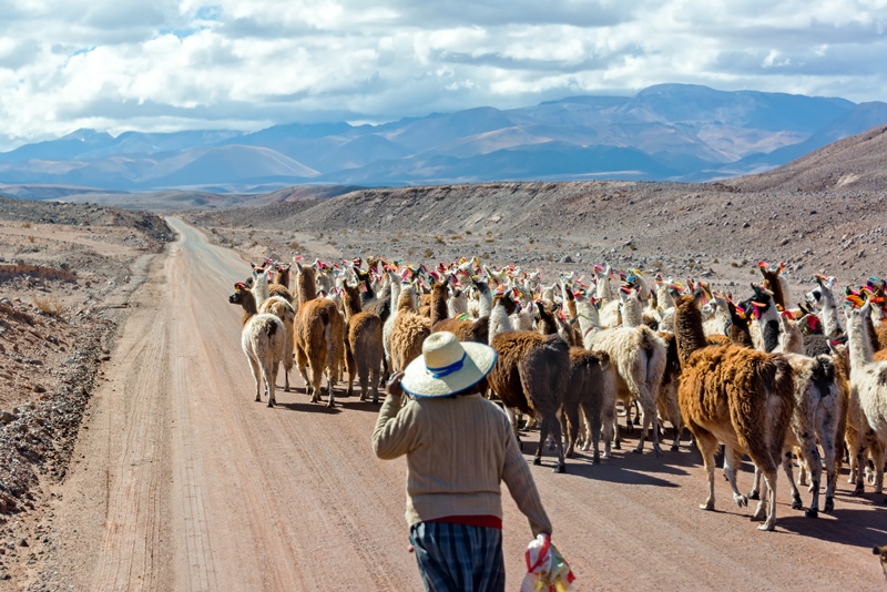 Chile z Atacamą, Boliwia, Peru 16 dni