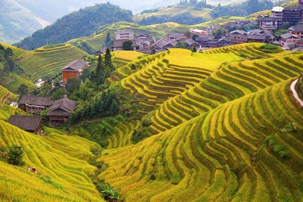 Chiny - Trasa Prezydencka 18 dni