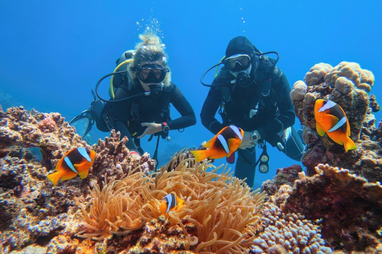 Egipt - Kair & Sharm el Sheikh - Ferie u Faraona - wylot z Warszawy (all inclusive)