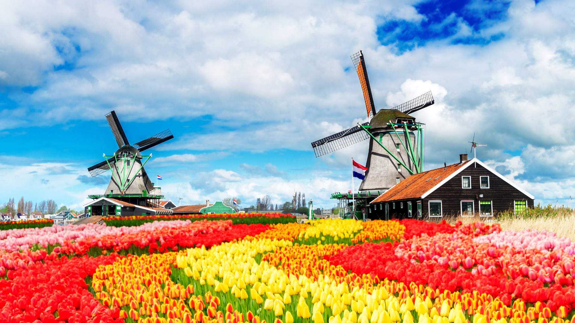 Parada Kwiatów i Kraje Beneluksu 5 dni samolotem