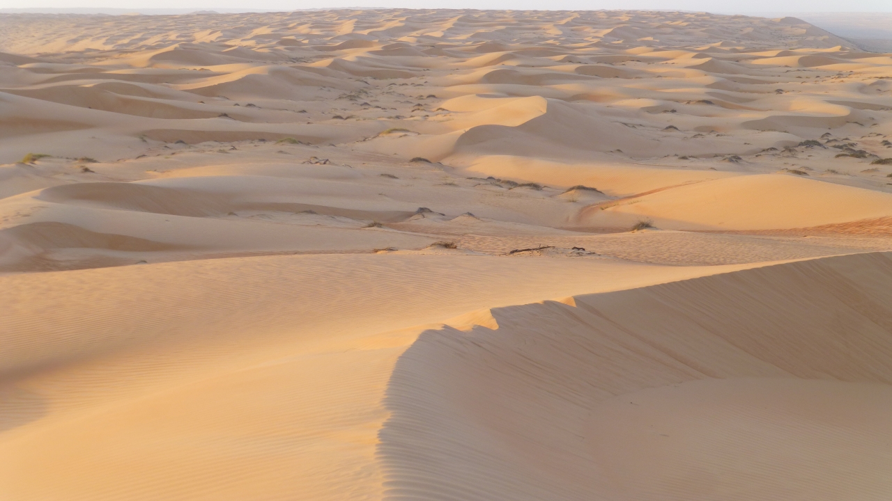 Arabia Saudyjska, Kuwejt, Oman - Trzy oblicza Półwyspu Arabskiego
