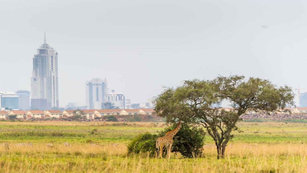 Etiopia, Uganda - Dwie perły Afryki