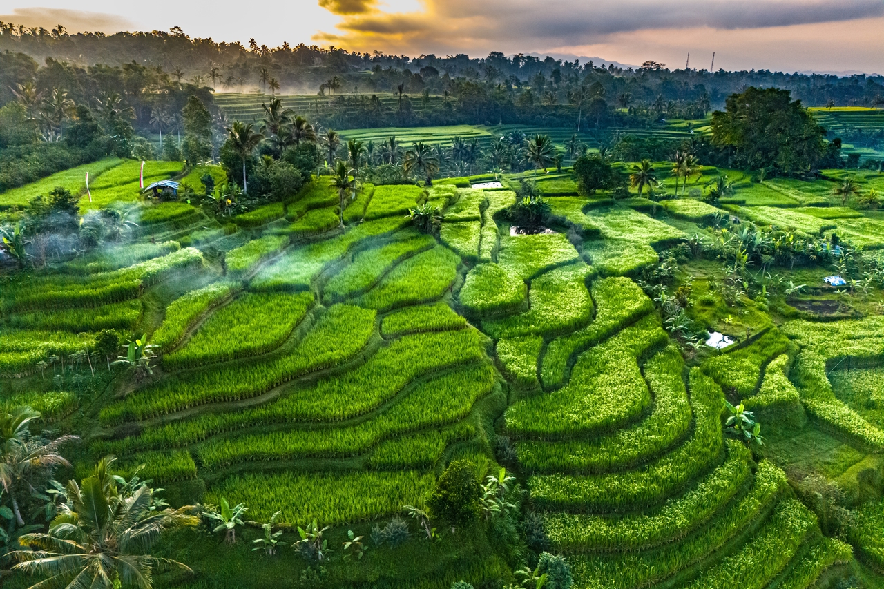 Bali - Ferie +30°C zamiast -10°C - wylot z Warszawy
