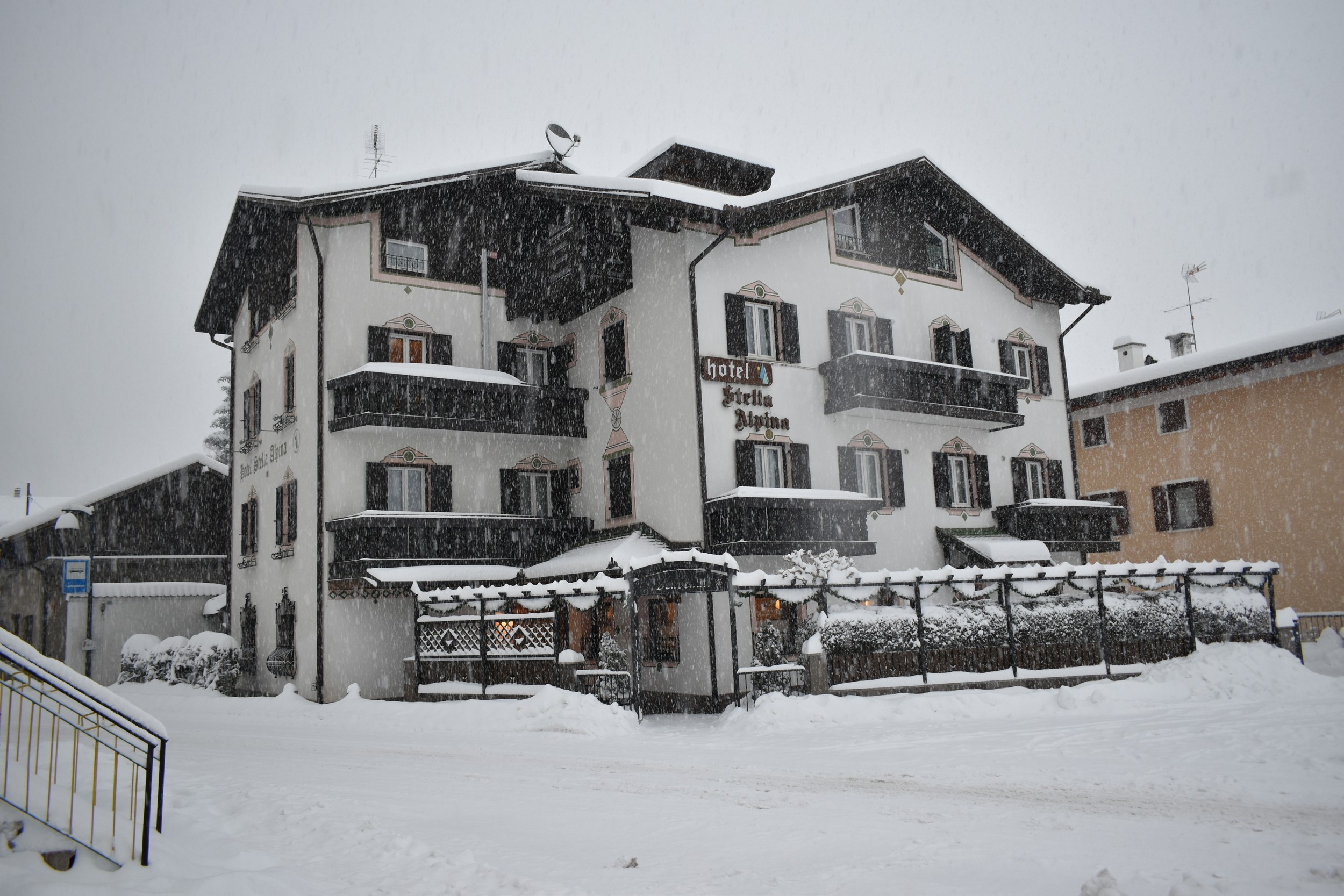 Hotel Stella Alpina**
