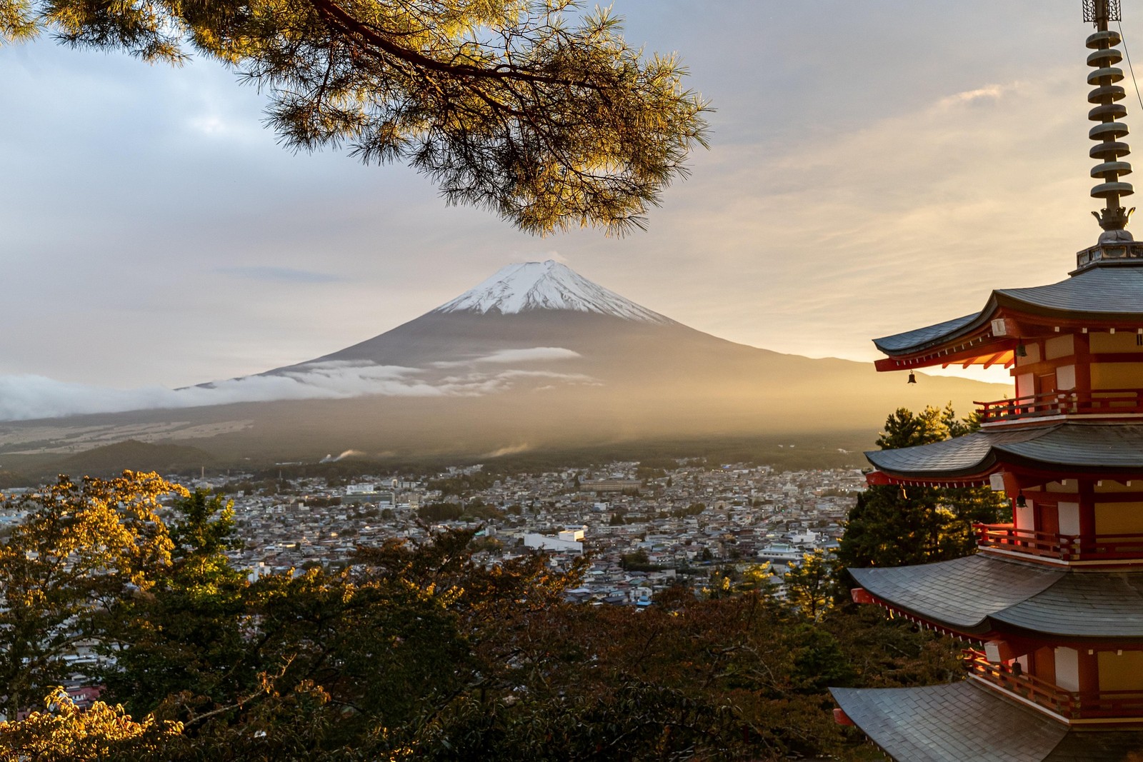 Japonia objazdowa dla singli