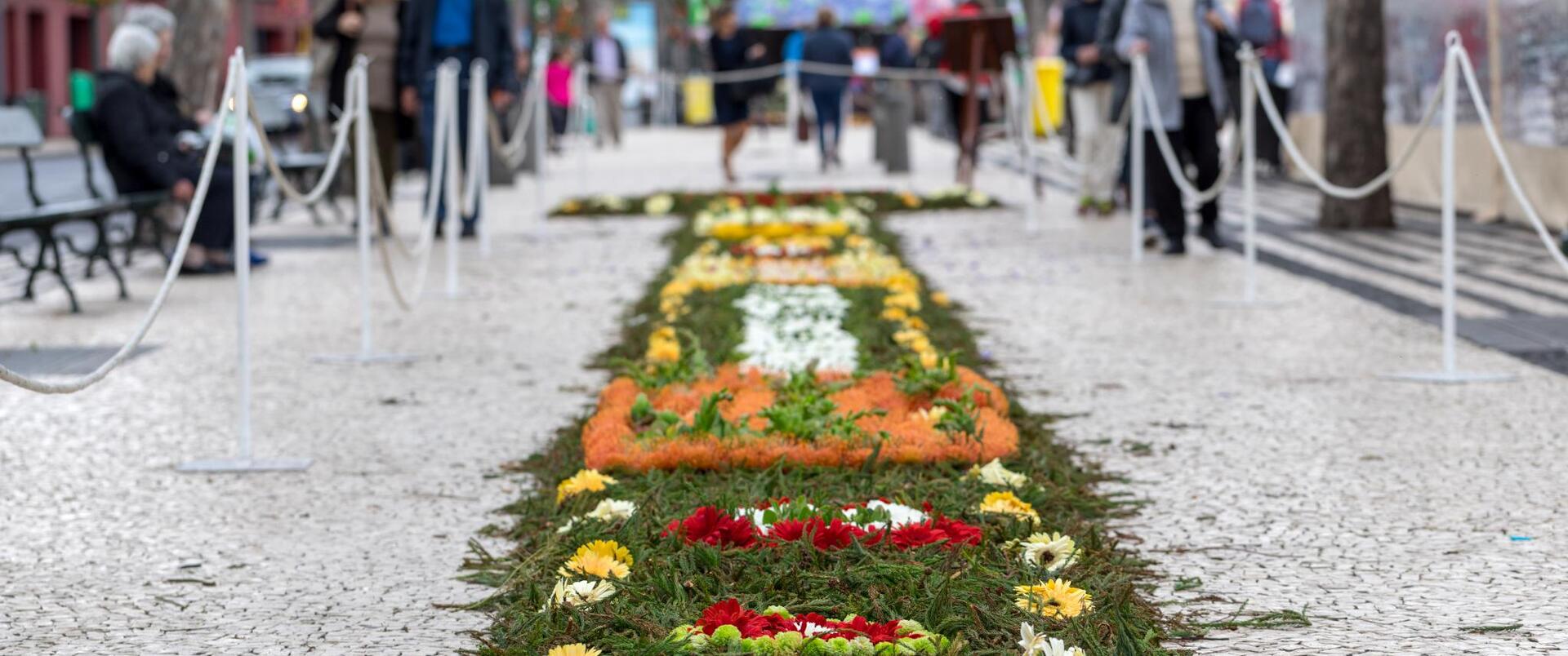 PORTUGALIA (MADERA-FESTIWAL KWIATÓW) dla koneserów