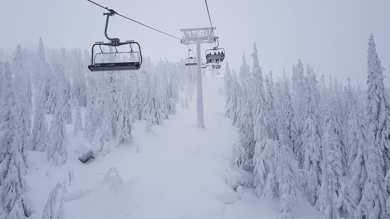Korbielów - obóz narciarski