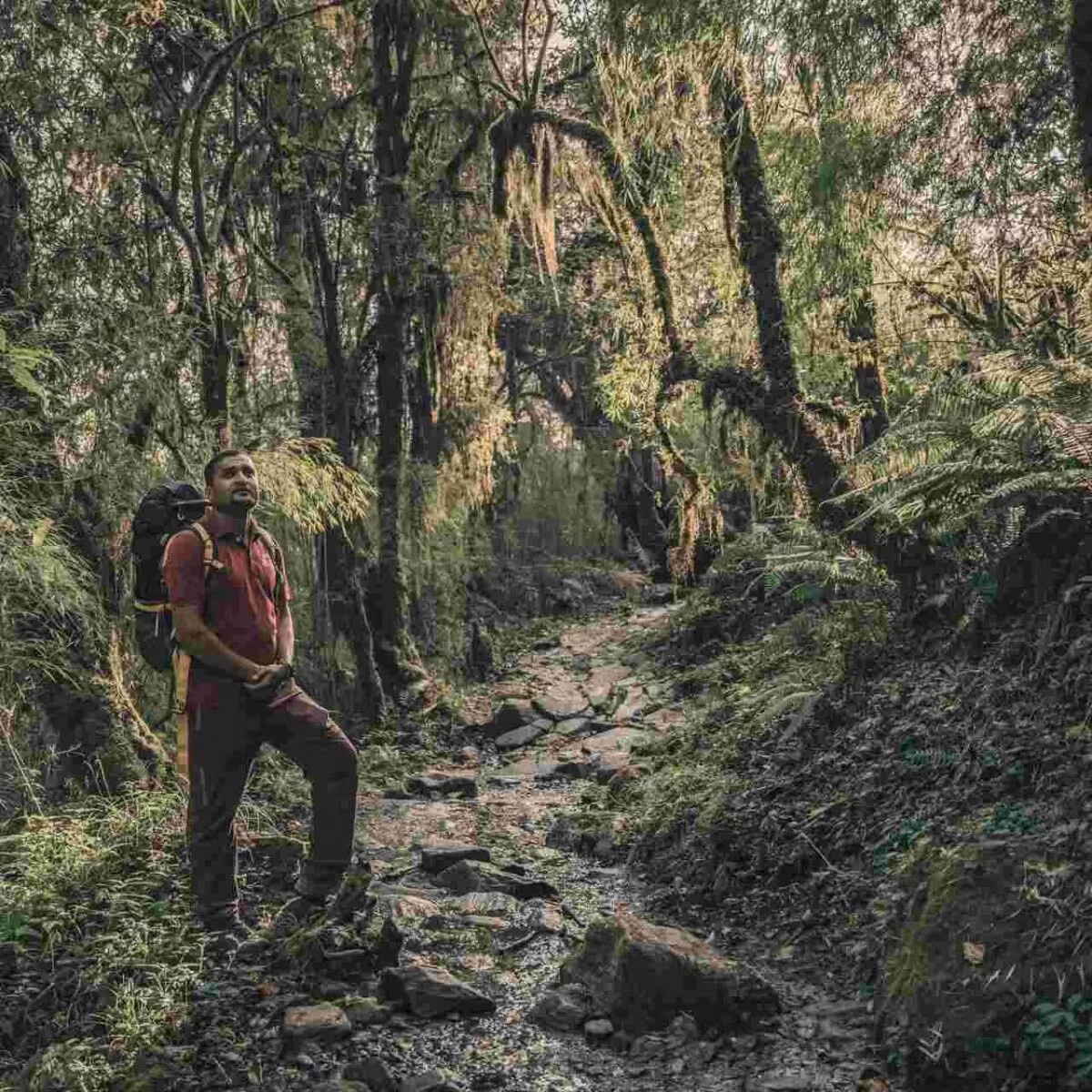 Trekking do Annapurna Base Camp w Nepalu