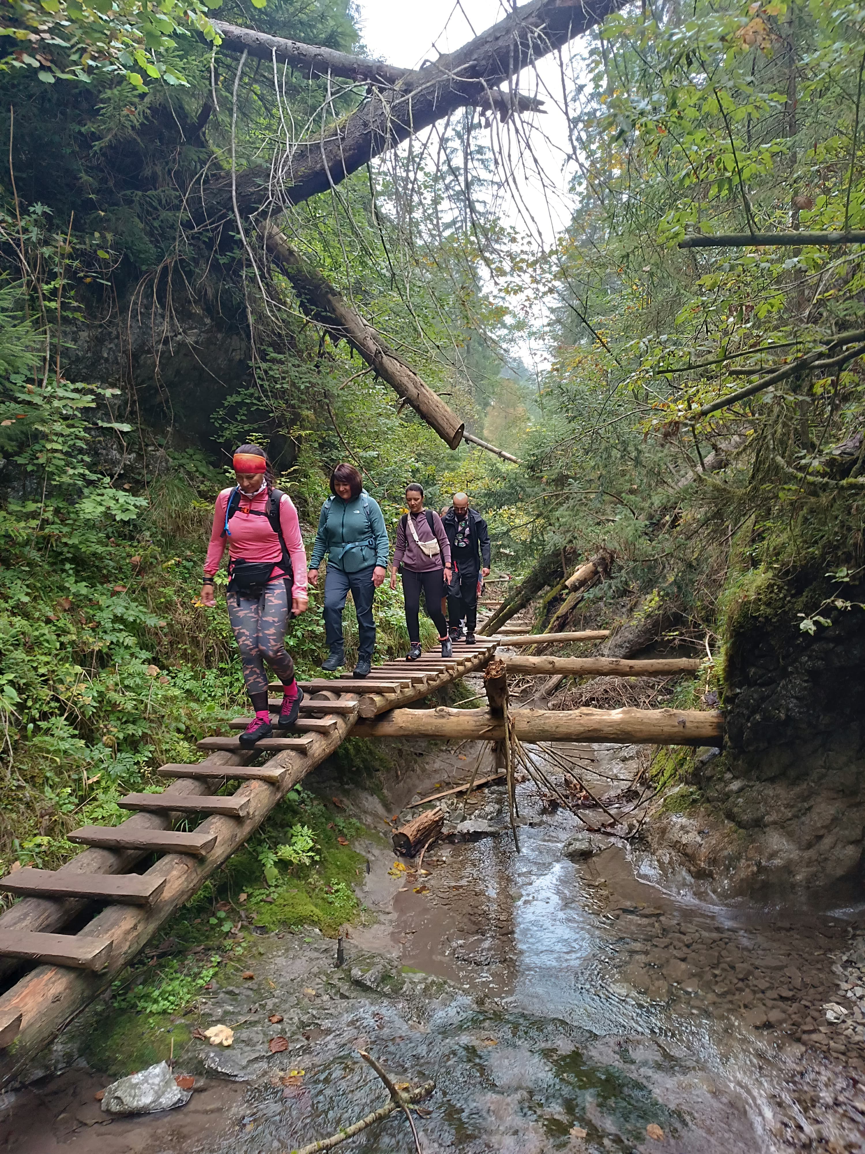 Mountain Camp Trekking - Tatry