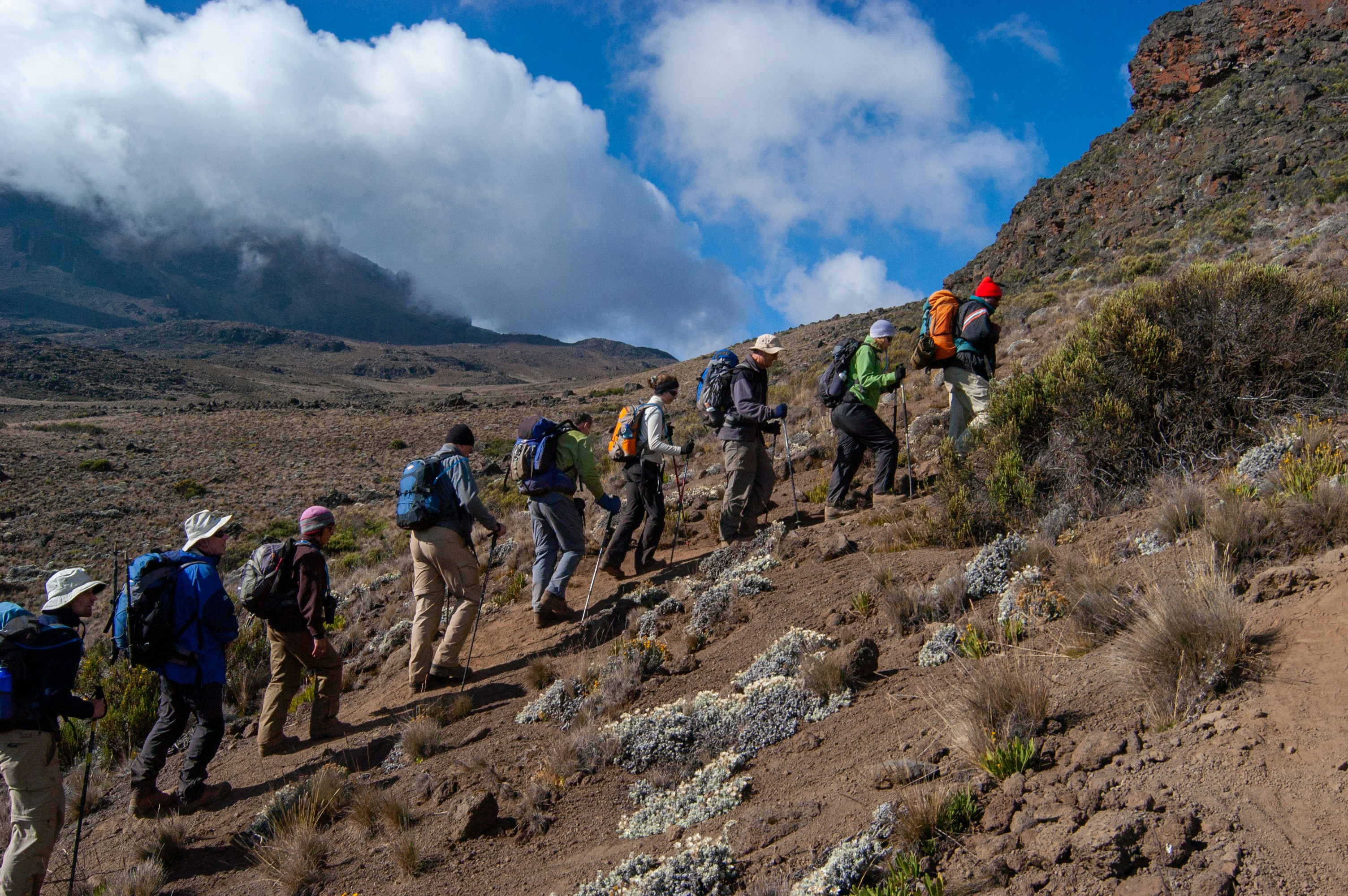 Kilimandżaro trekking na Dach Afryki > szczyt Korony Ziemi - dla Zdobywców