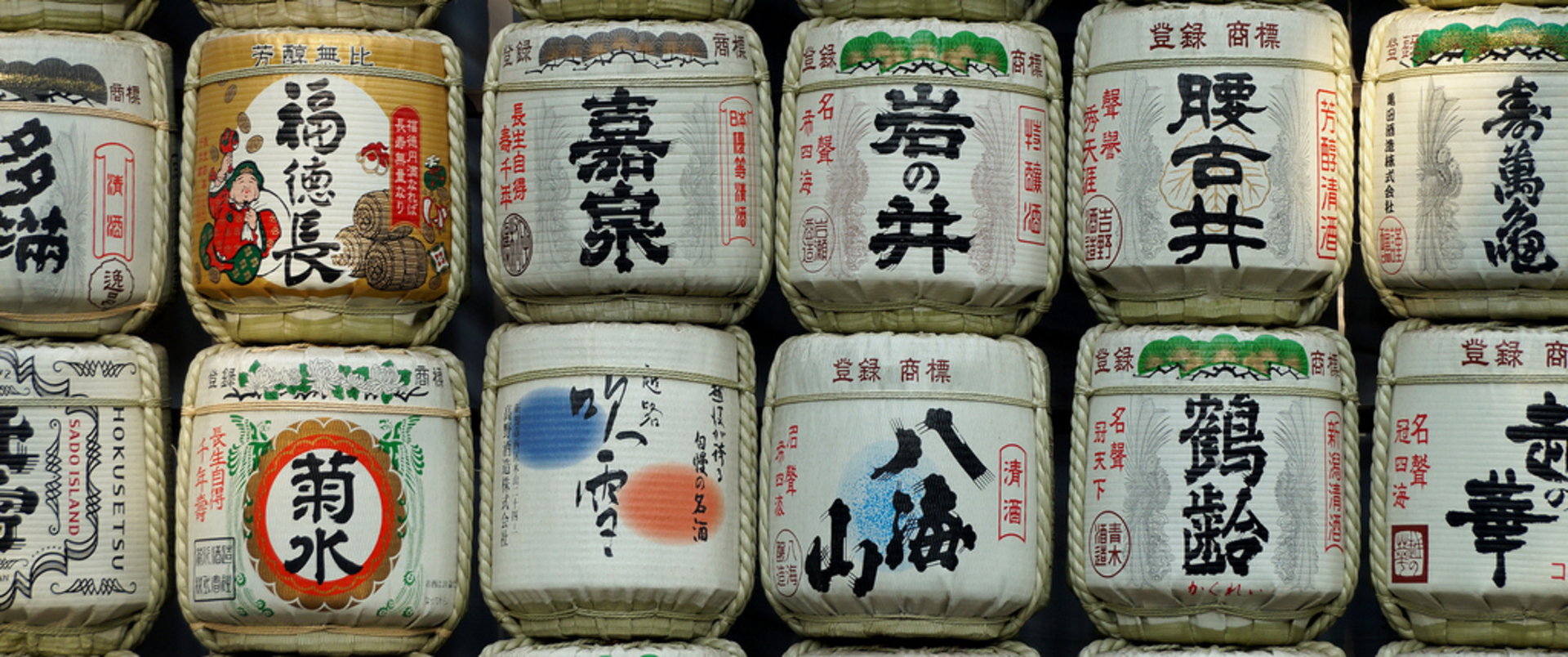 JAPONIA - 14 DNI