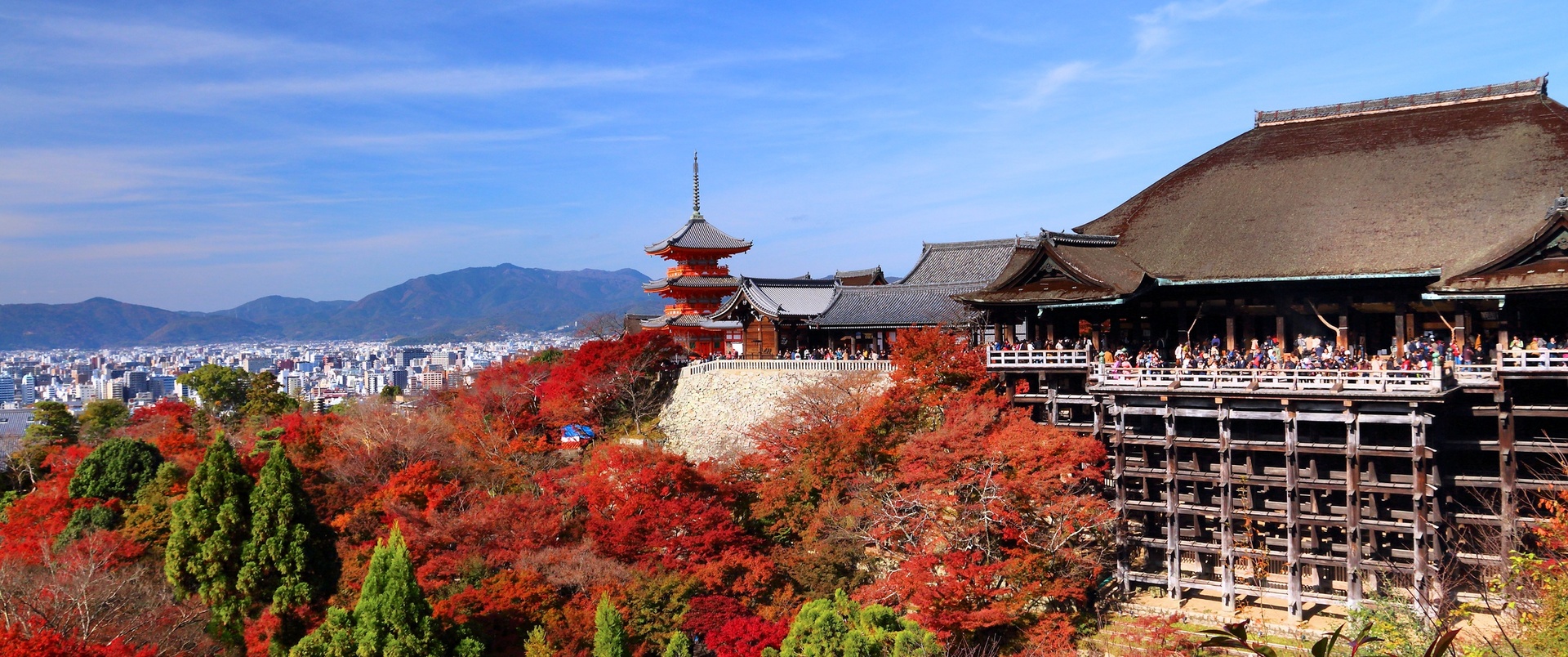 JAPONIA dla koneserów (19 dni)