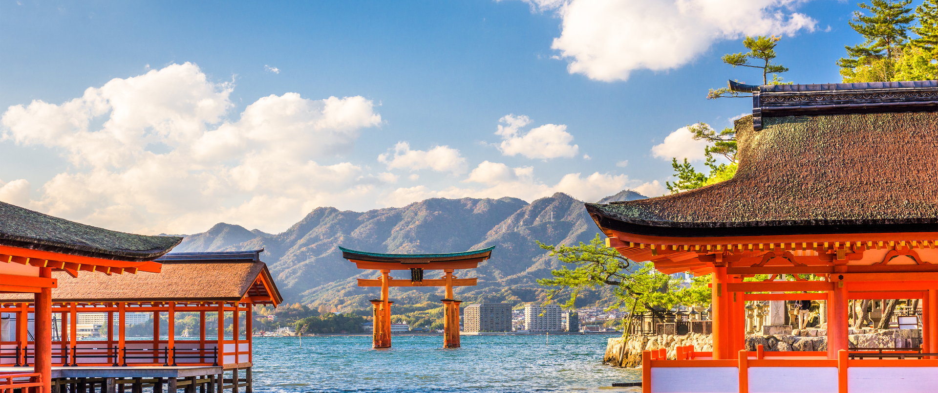 JAPONIA (+ opcja SUMO) dla koneserów