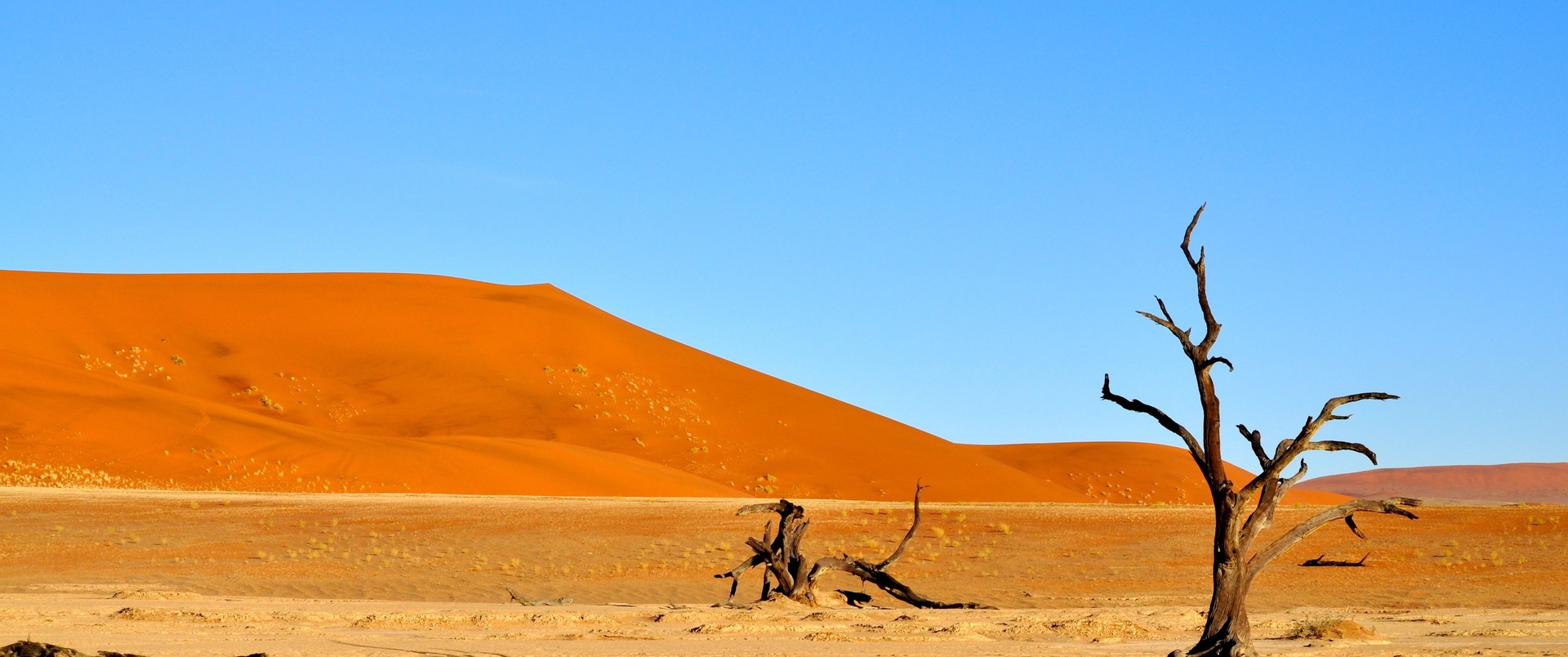 NAMIBIA dla koneserów