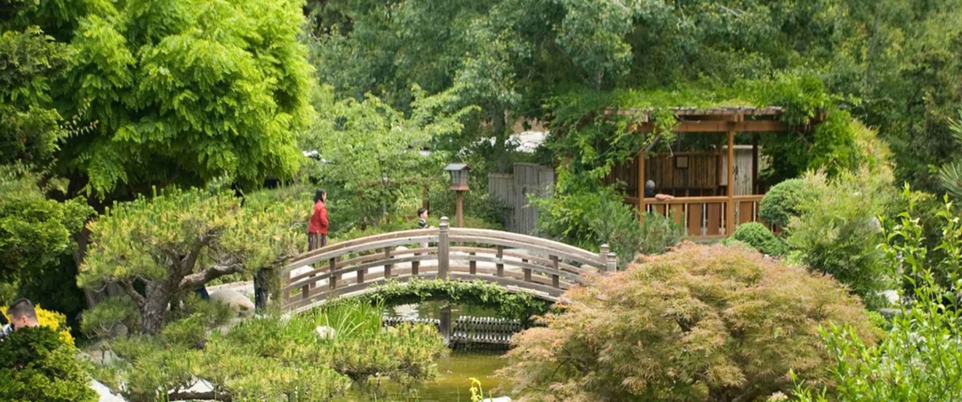 JAPONIA - 14 DNI
