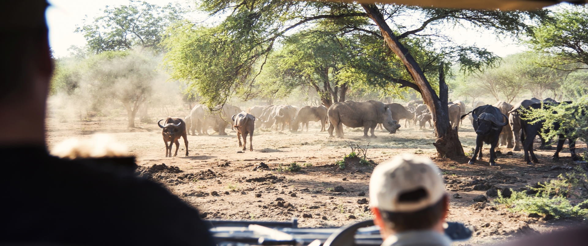 NAMIBIA - BOTSWANA - ZIMBABWE