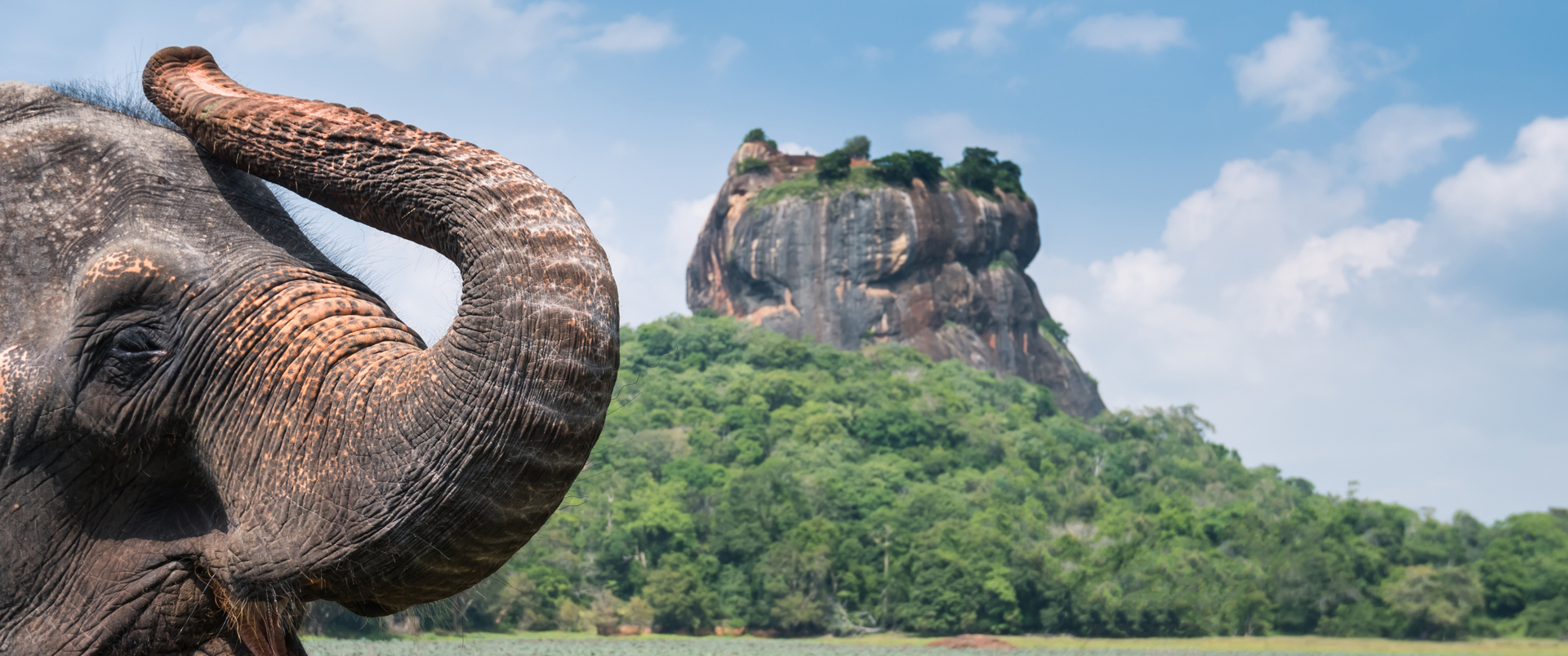 SRI LANKA - Sylwester na tropikalnej wyspie