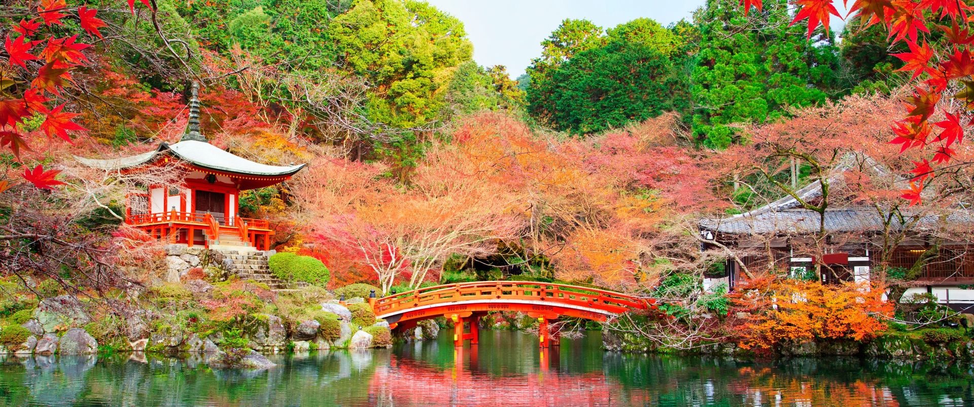 JAPONIA dla koneserów