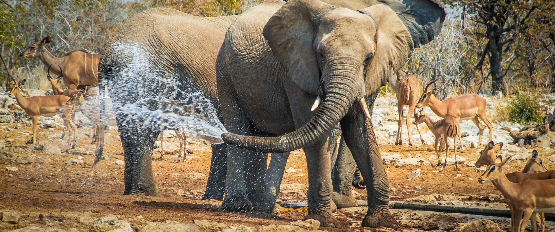 NAMIBIA - BOTSWANA - ZIMBABWE
