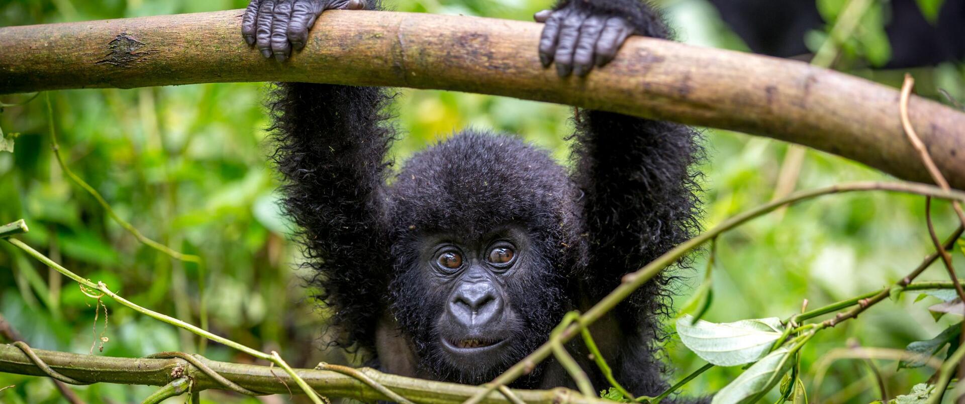 RWANDA-UGANDA