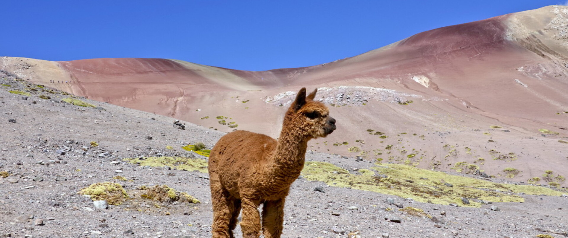 PERU - BOLIWIA (+ Tęczowa Góra)