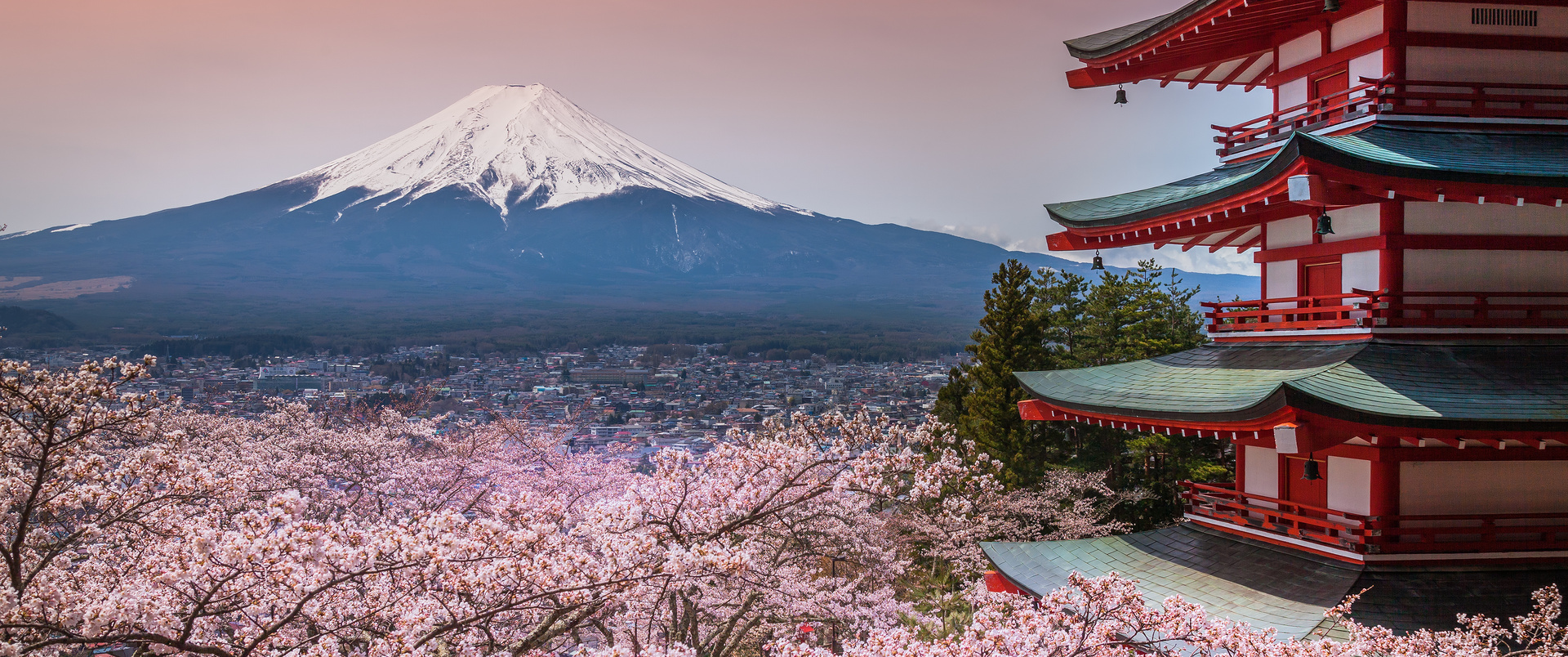 JAPONIA - 14 DNI