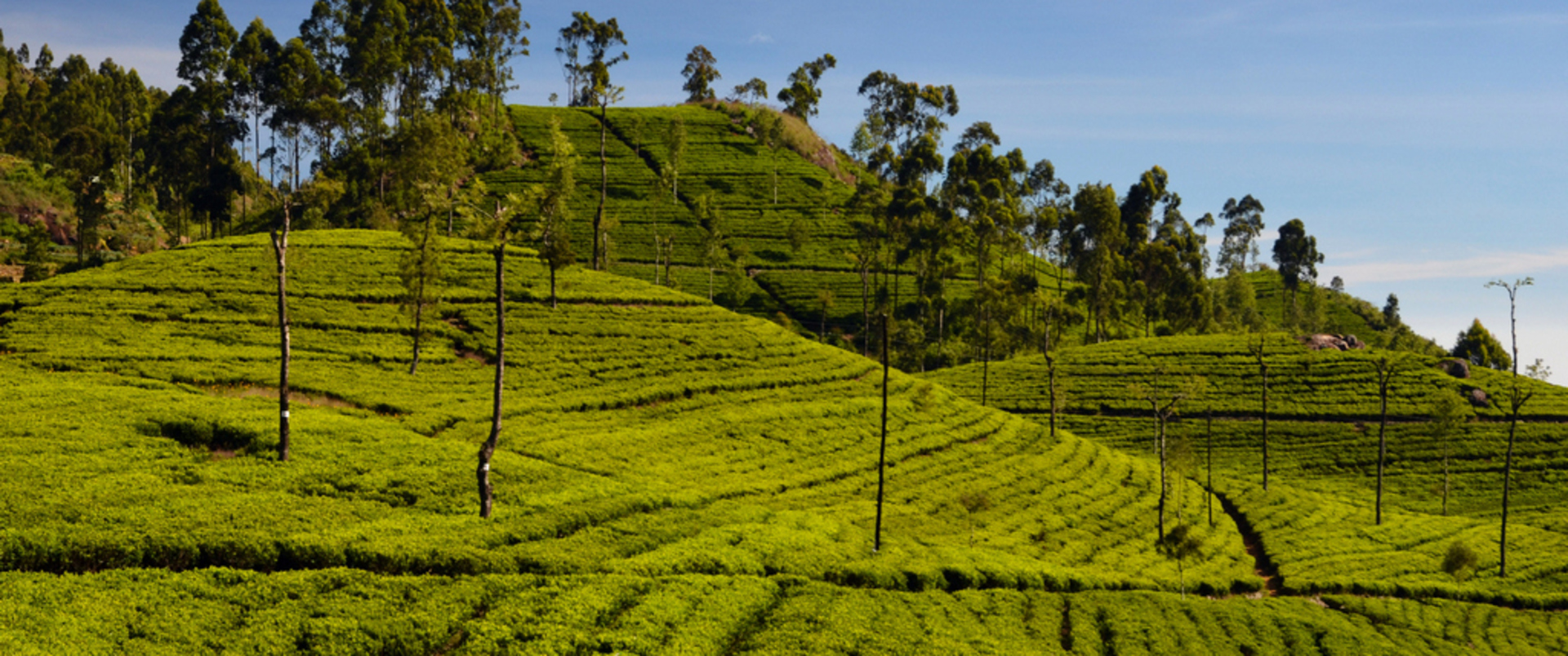 SRI LANKA - MALEDIWY