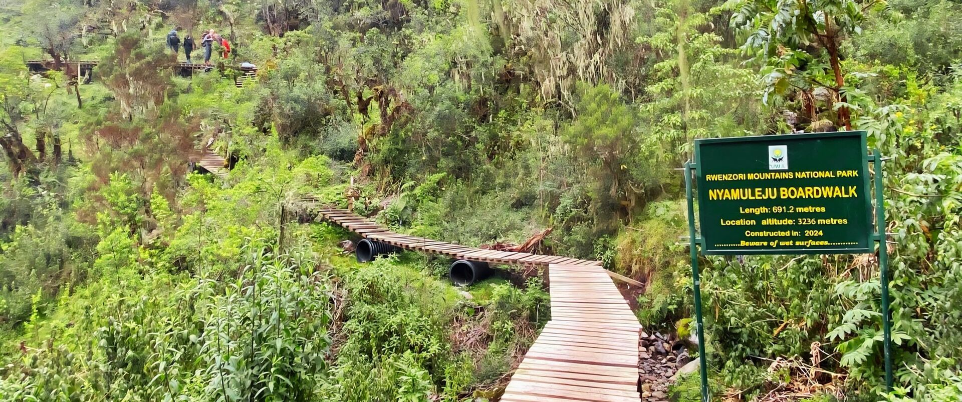 UGANDA (trekking w Górach Ruwenzori)