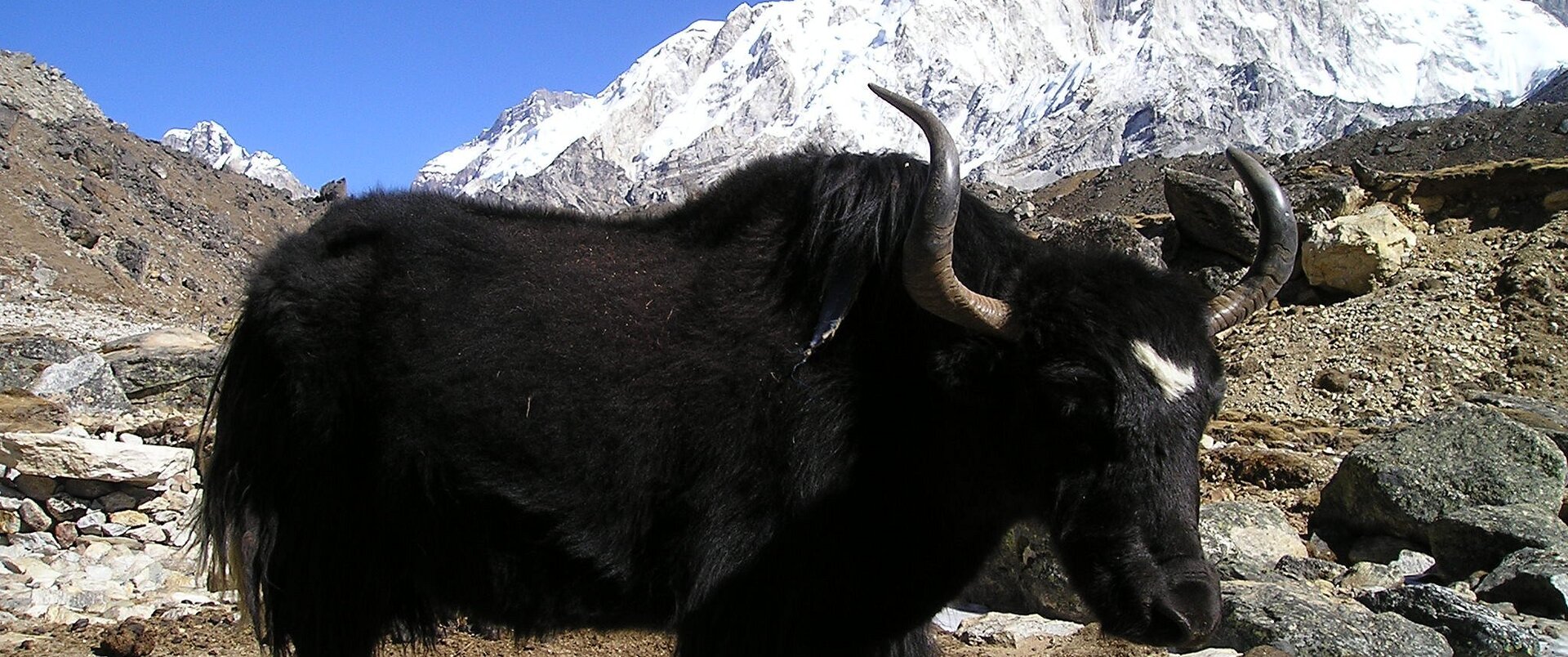 NEPAL - BHUTAN - BANGLADESZ