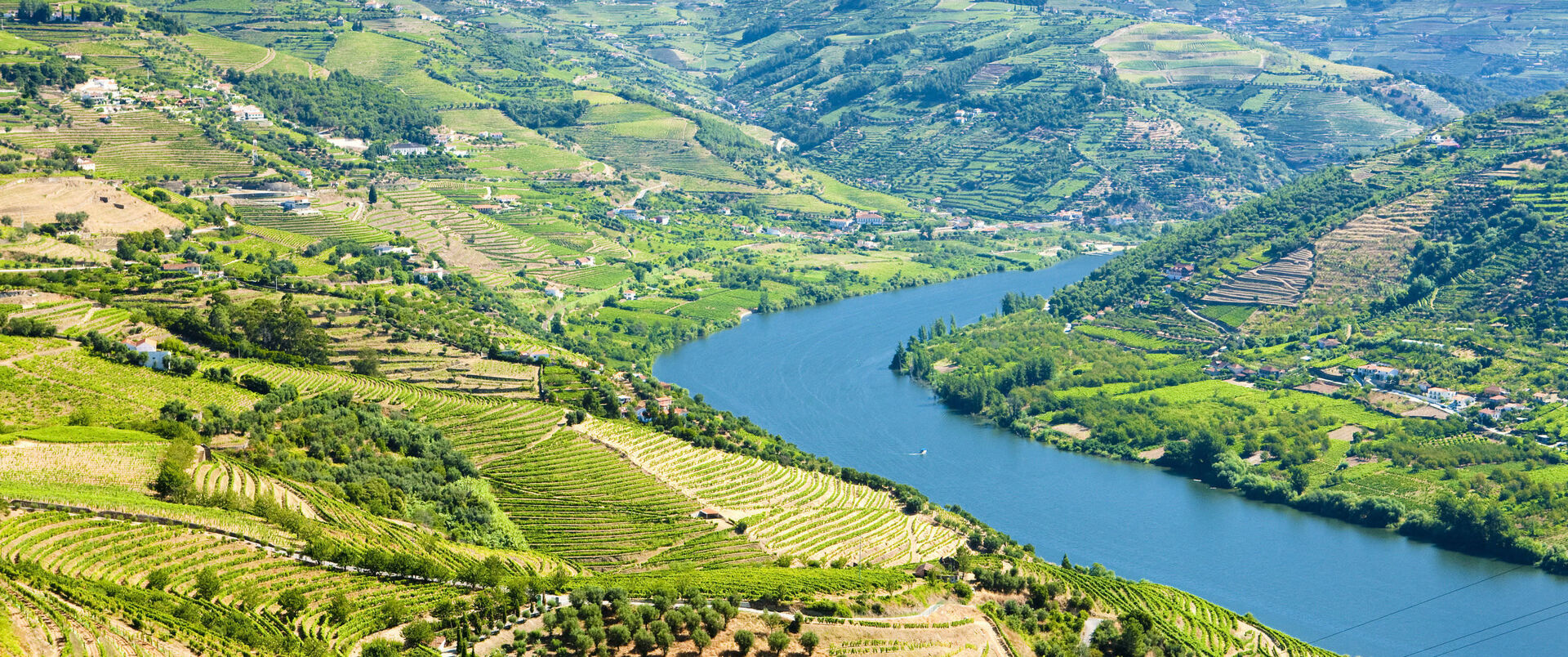 PORTUGALIA  dla koneserów