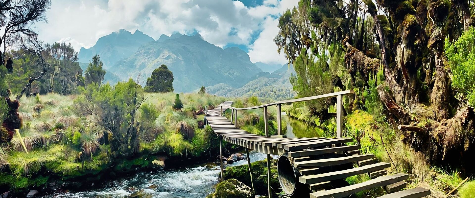 UGANDA (trekking w Górach Ruwenzori)