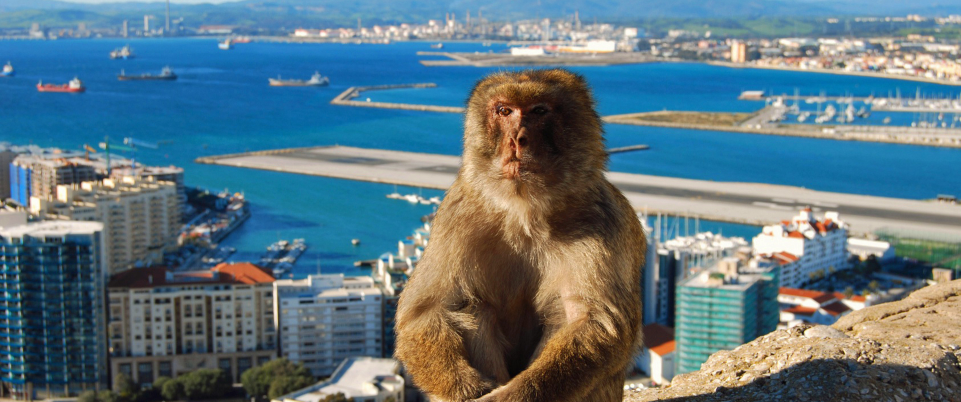 HISZPANIA (ANDALUZJA - GIBRALTAR) dla koneserów