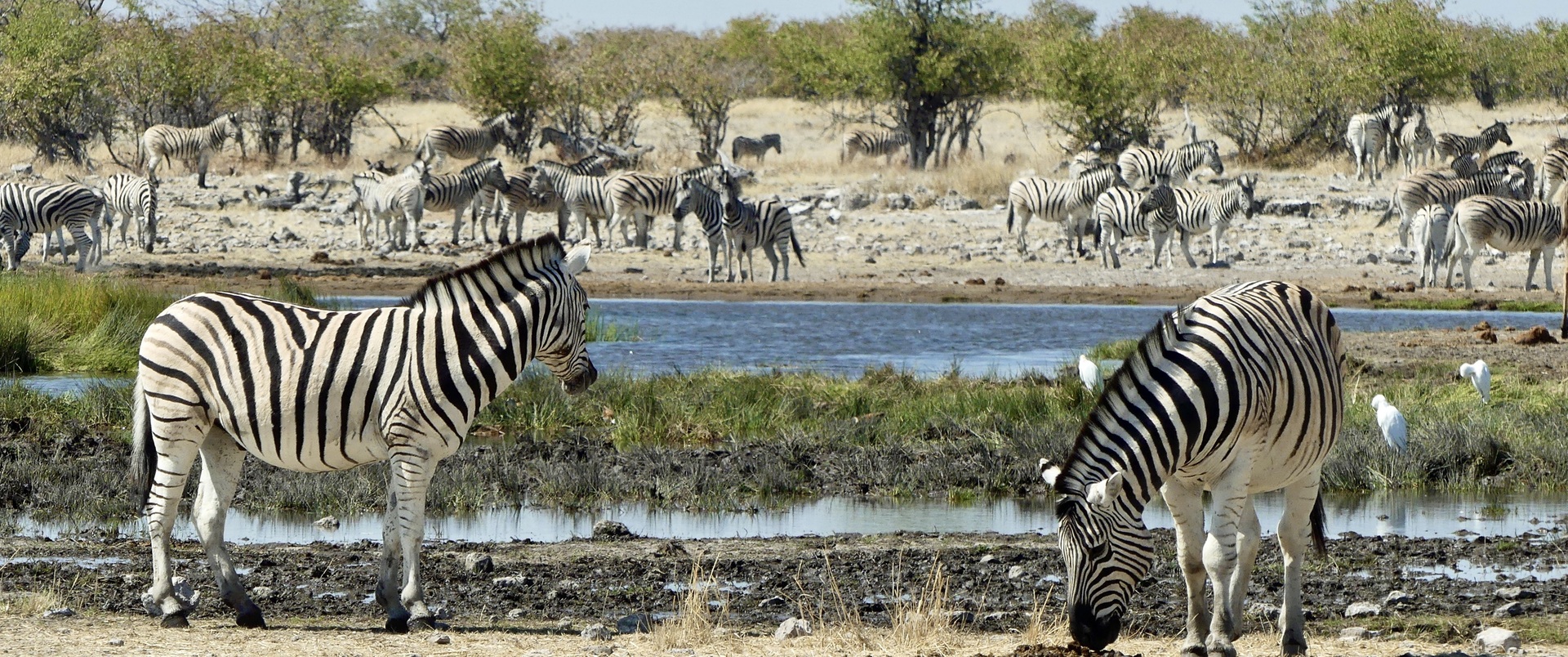 NAMIBIA dla koneserów