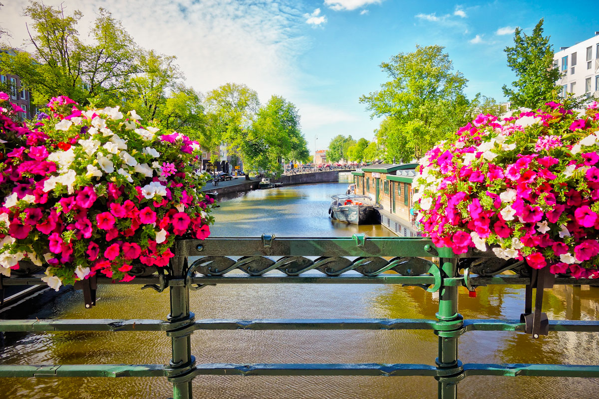 [PLATINUM] Amsterdam i Brema